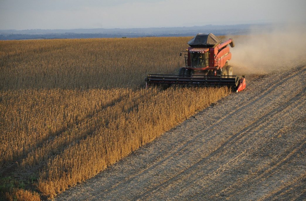 Elicit Plant entra no mercado brasileiro
