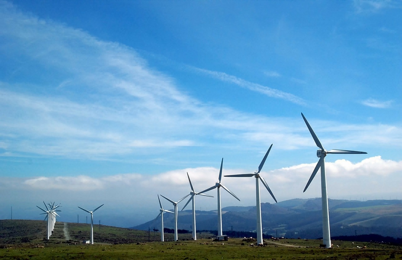 Petrobras e Equinor avaliam viabilidade ambiental de projeto conjunto de energia eólica offshore