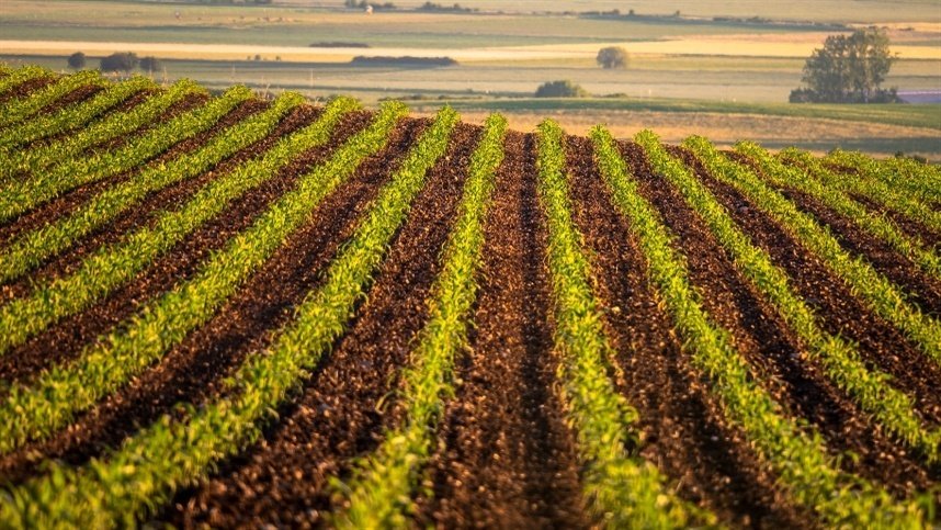 USDA investe US$ 770 milhões para expandir oportunidades de mercado para empresas rurais