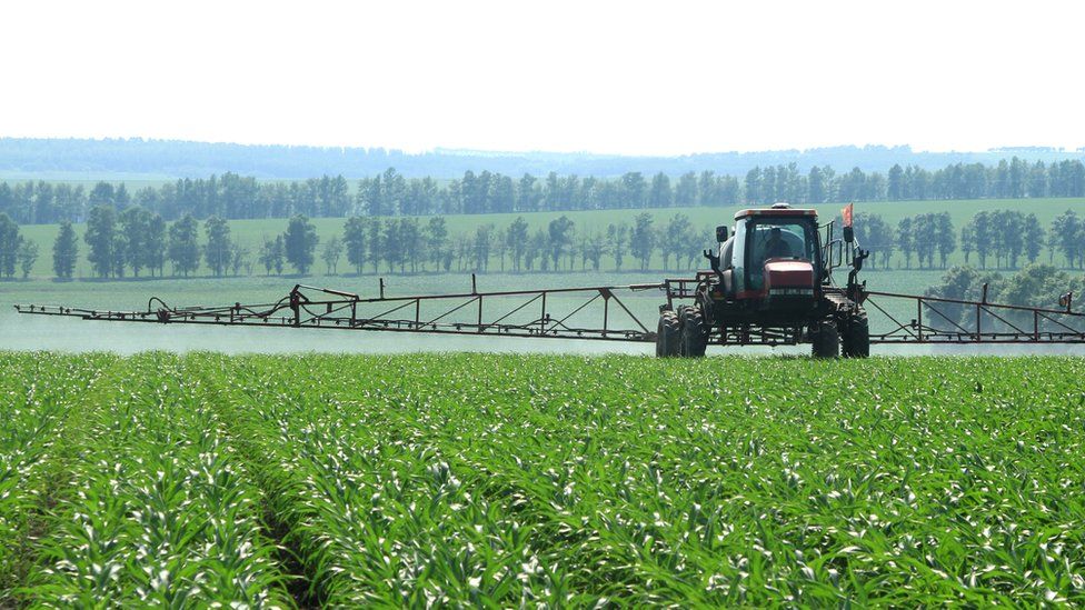 Preços de fertilizantes em alta forçam agricultores a repensar