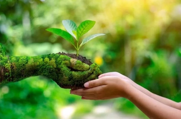 Cuidar do Meio Ambiente é um compromisso de 365 dias por ano