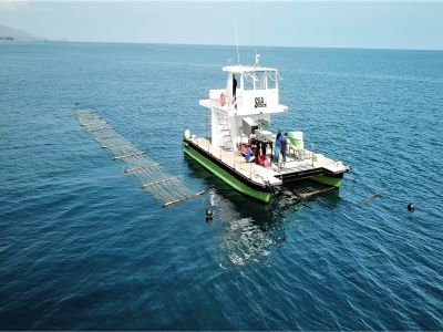 BASF e Aqua-Spark investem na Sea6 Energy
