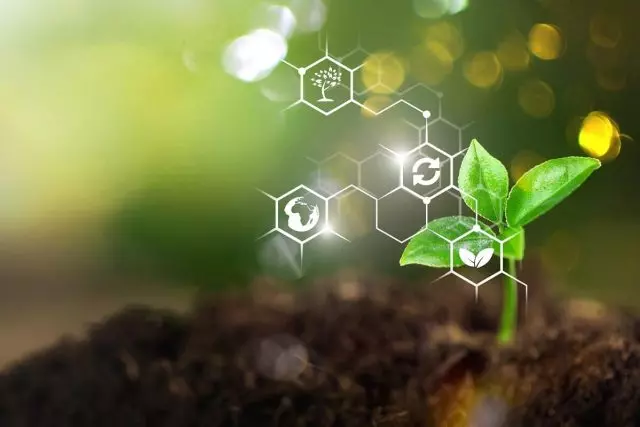 Tendências na indústria global de bioestimulantes