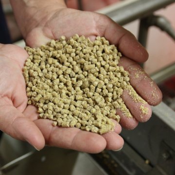 FUMZYME AGORA DISPONÍVEL PARA USO EM AVES E SUÍNOS