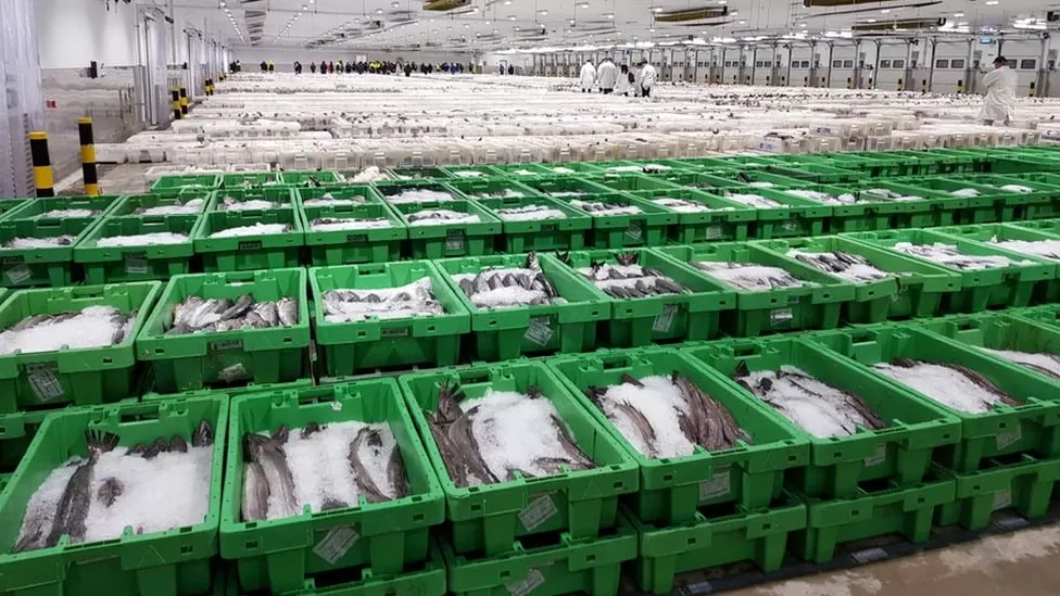 Nenhum leilão no Peterhead Fish Market após boicote por processadores