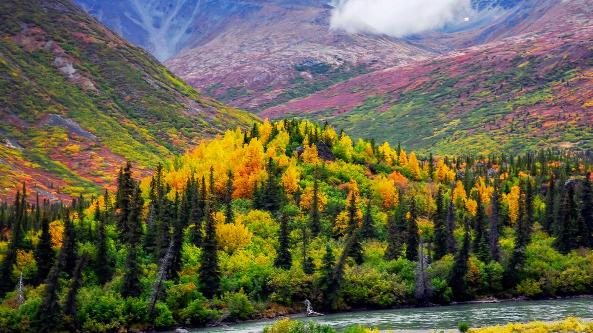 Granite ganha projeto de ponte de $ 100 milhões no Parque Nacional Denali
