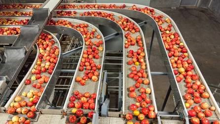 O impacto da tecnologia na indústria de alimentos e bebidas