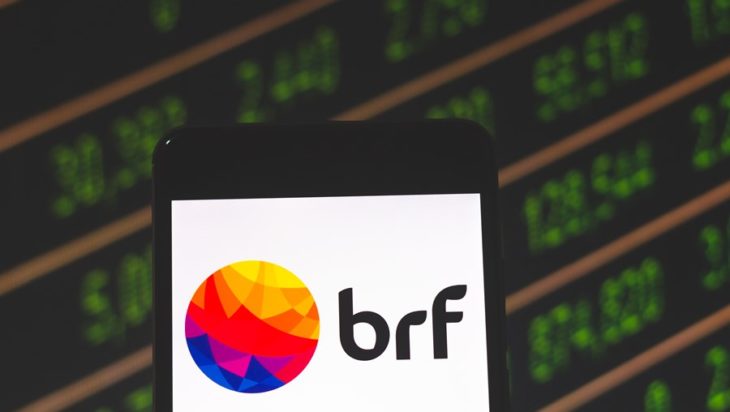 BRF negocia venda de divisão de alimentos para pets por R$ 2 bi, diz Bloomberg: qual impacto para ações?