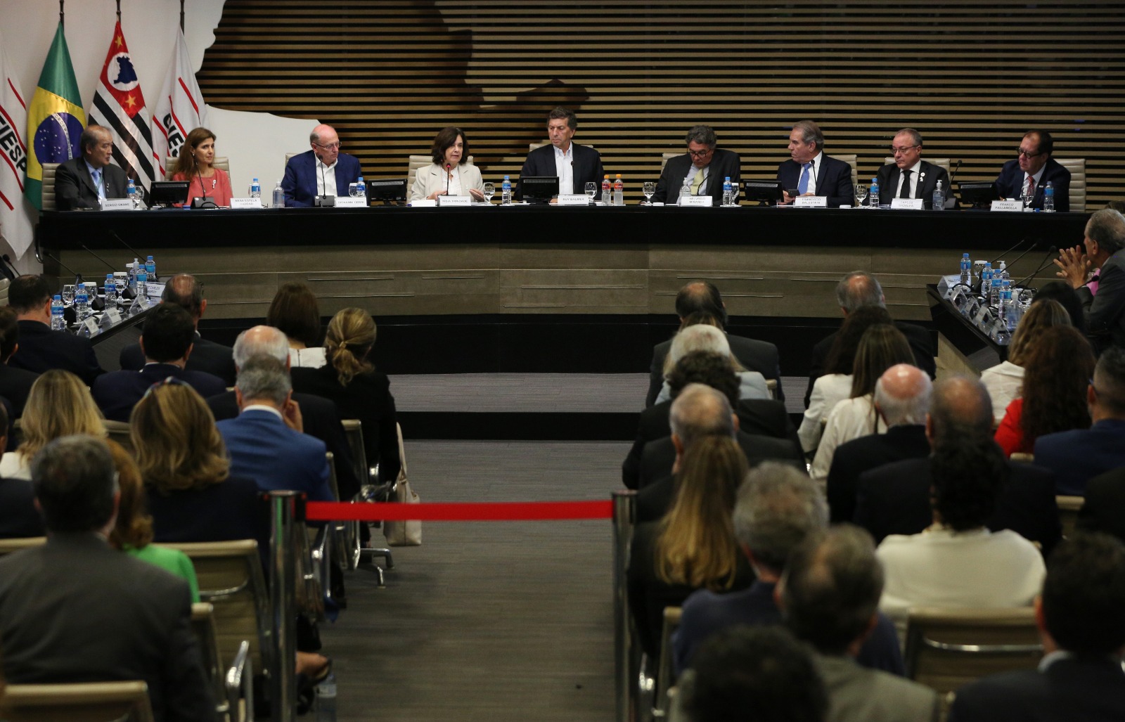 Em apresentação para lideranças da Fiesp e do Ciesp, ministra defende fortalecimento do Complexo Industrial da Saúde no Brasil