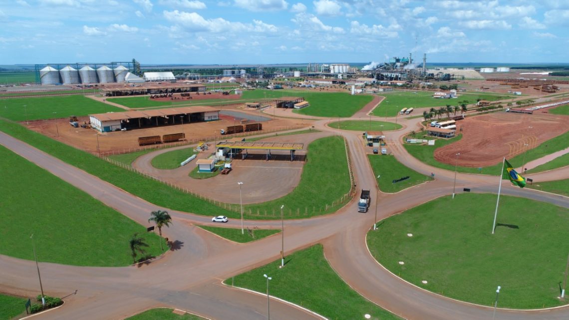 CerradinhoBio cumpre estratégia de crescimento e finaliza expansão da planta de milho em Chapadão do Céu (GO)
