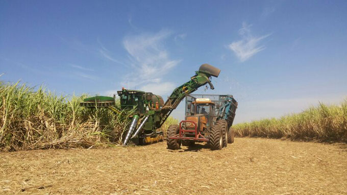 Safra canavieira no Norte e Nordeste supera expectativas