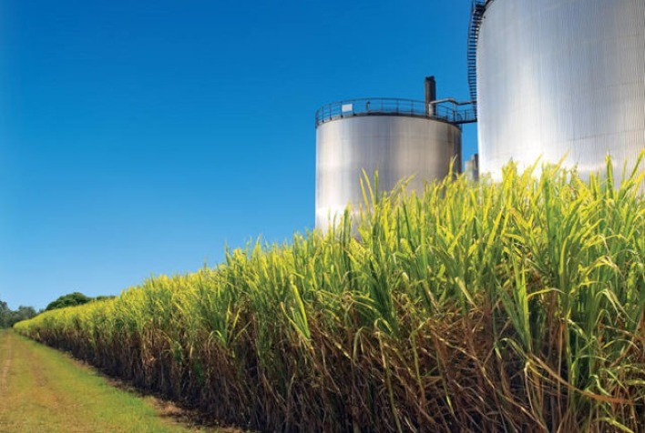 Honeywell anuncia cinco novas plantas produtoras de SAF a partir de fontes renováveis