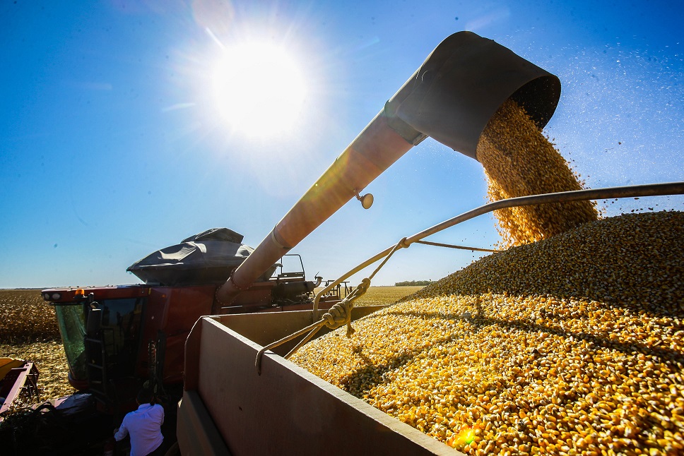 Investimentos do BNDES na agropecuária em 2023 já superam em 50% os valores do ano passado