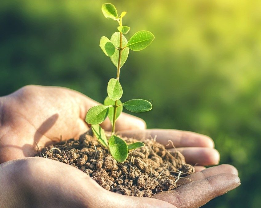 PepsiCo e Fertiberia lançam programa para produzir fertilizante a partir de hidrogênio verde