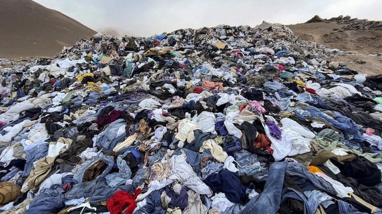 Grupos da Indústria da Moda Demonstram Apoio à Lei Climática