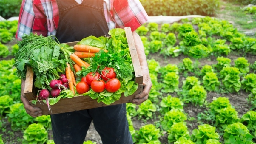 Rastreabilidade e transparência são chave para mercado de alimentos