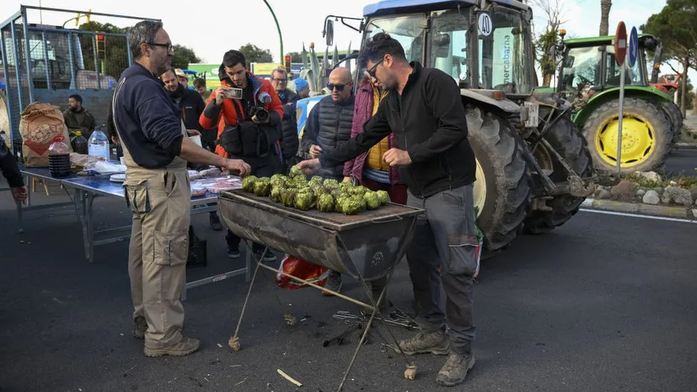 Agricultores da Catalunha Exigem Mais Apoio Diante da Seca Prolongada