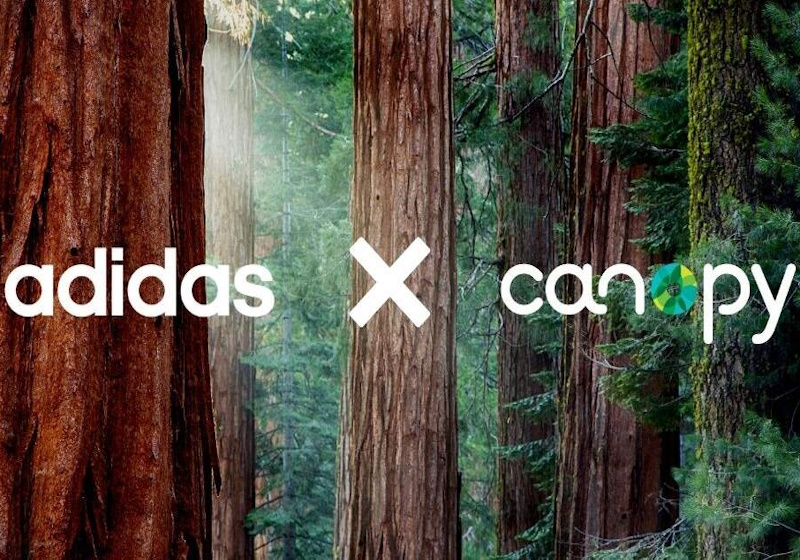 Adidas Adere às Iniciativas Florestais da Canopy para Promover Sustentabilidade