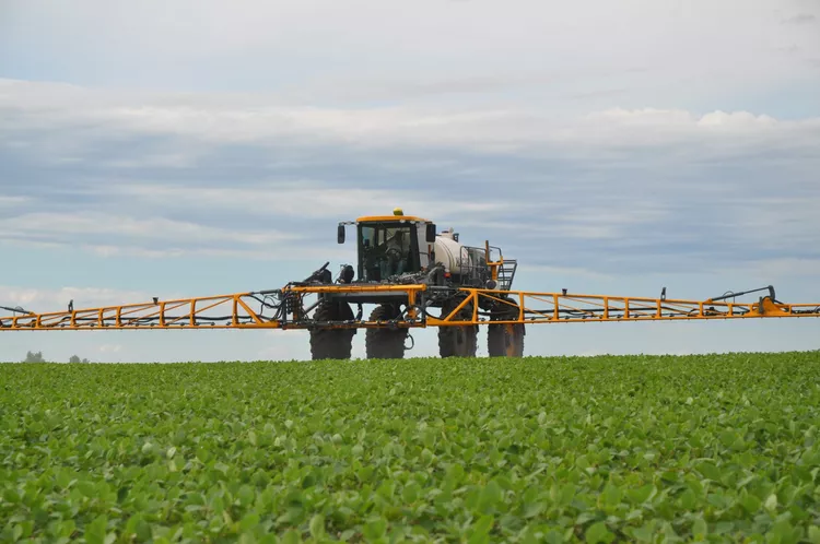 Disponibilidade de Dicamba para a Temporada de Cultivo de 2024 em Questão