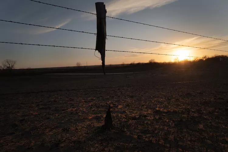 Incêndios Florestais em Smokehouse Creek no Texas: Agricultores e Pecuaristas Enfrentam Desafios Sem Precedentes