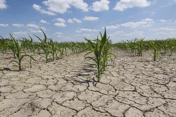 É Cedo Demais Para Falar Sobre Clima na Agricultura?