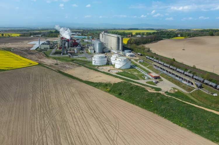 A Expansão do Mercado de Biomassa: Impulsionando a Sustentabilidade no Setor Agrícola