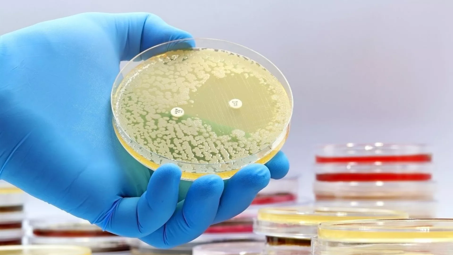 Novos Antibióticos Descobertos pela IA: Uma Revolução na Medicina Moderna