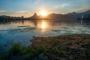 Logística Reversa do Óleo Lubrificante: Brasil Lidera em Sustentabilidade