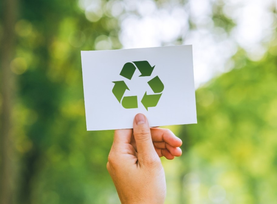 Construção Sustentável: Reduzindo Impactos com Materiais Ecológicos