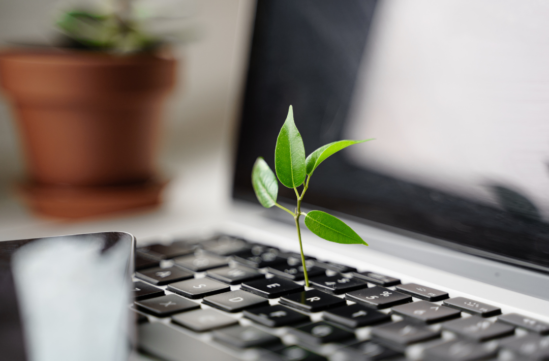 Eficiência e Sustentabilidade em Harmonia com a Internet das Coisas