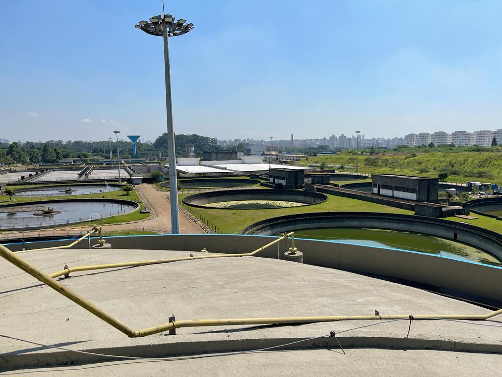 Biogás: A Energia Renovável do Presente