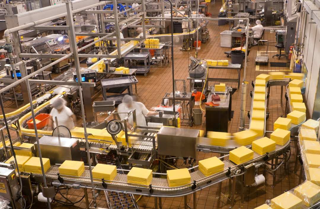 A Evolução do GLP no Brasil: De Alternativa Energética a Pilar da Indústria de Alimentos