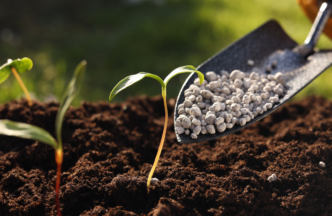 Atlas Agro impulsiona produção de fertilizantes verdes no Brasil
