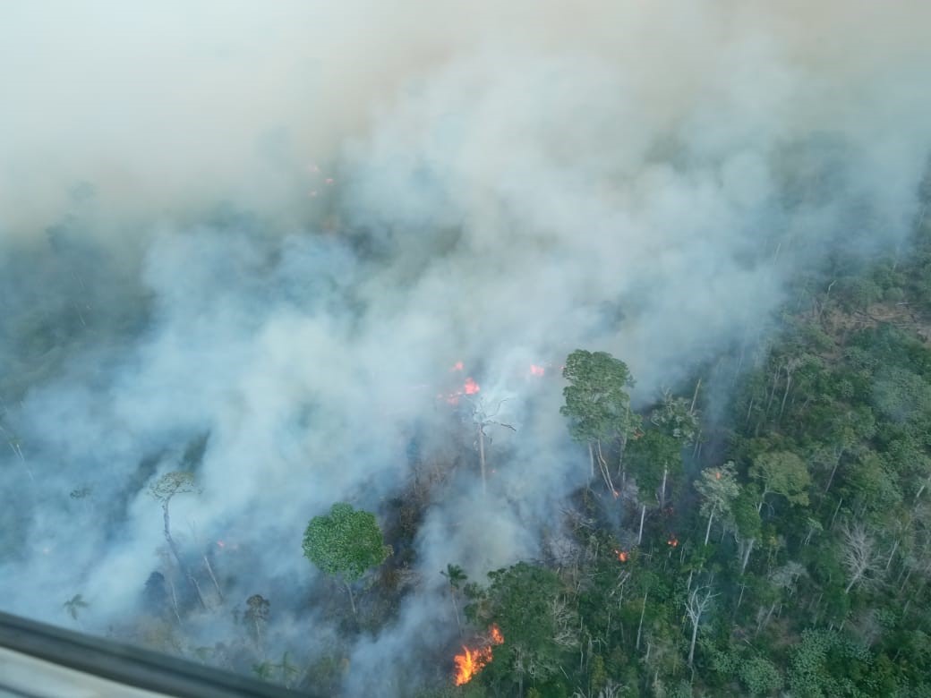 A agropecuária e a devastação ambiental no Brasil