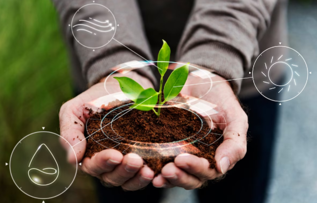 Evento online discute ESG e o futuro das práticas sustentáveis no agronegócio