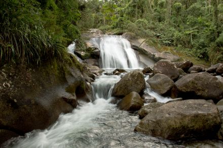 Carnaval na Natureza: Três Parques para Relaxar e se Conectar com o Meio Ambiente