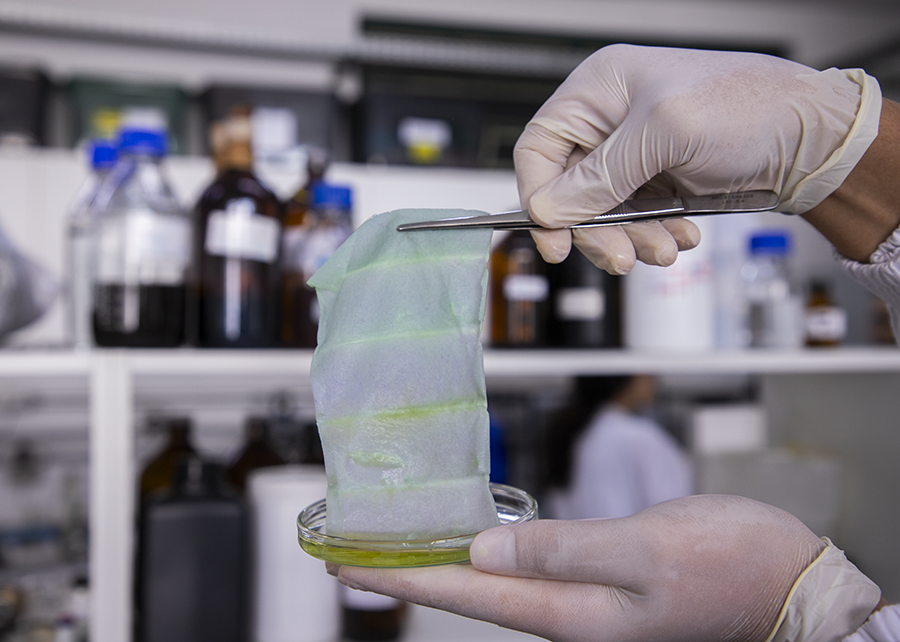 Embalagem inteligente: manta de nanofibras muda de cor para indicar deterioração de alimentos