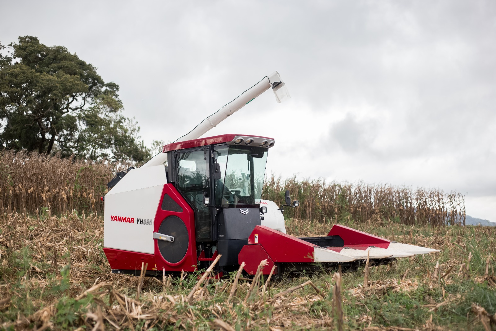 YANMAR lança colheitadeira YH 880 cabinada na Expointer 2025