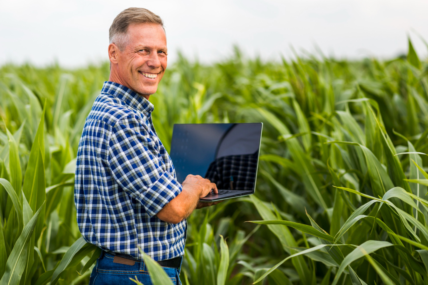 Inteligência Artificial e Longevidade: Transformação no Campo através do Cooperativismo e Tecnologia