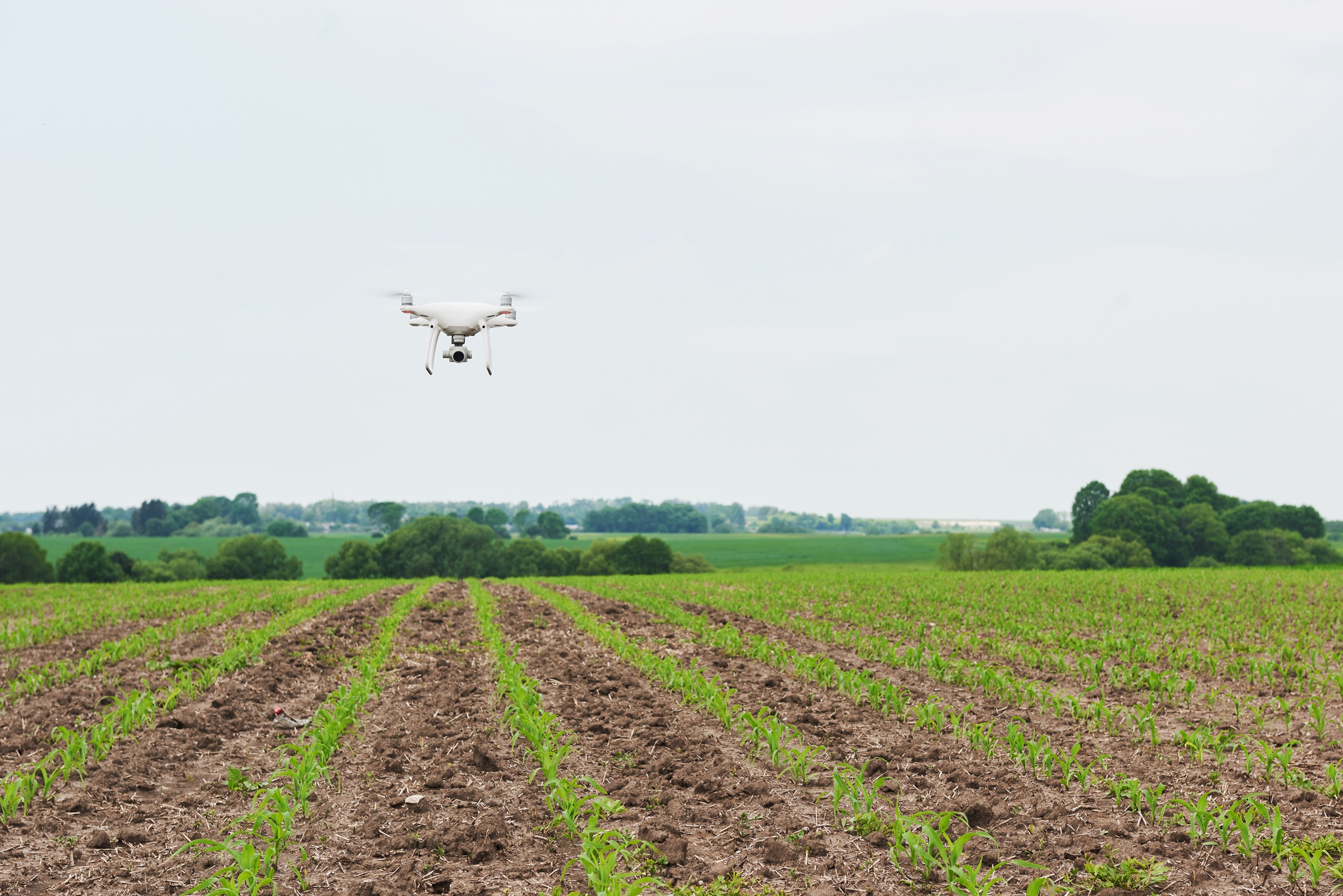 Agricultura de Precisão: Sustentabilidade do Campo à Cidade