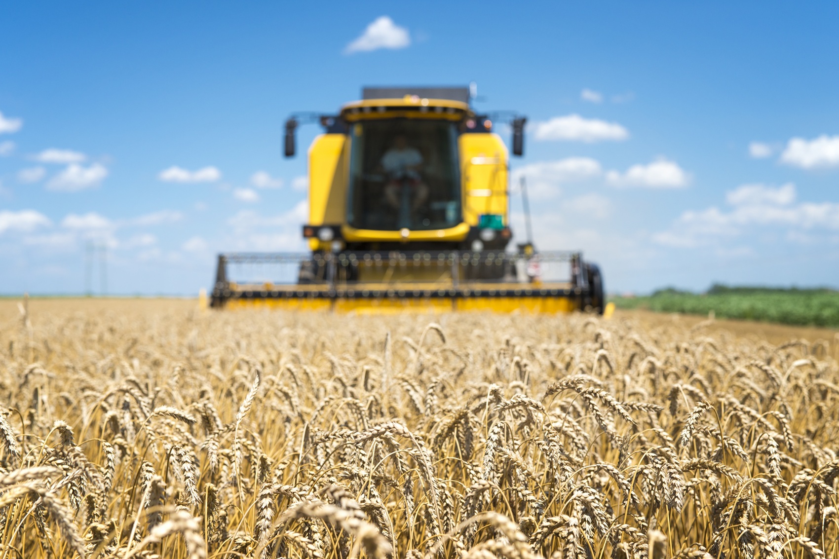 Produzir mais em menos área é desafio central do agro diante do crescimento populacional