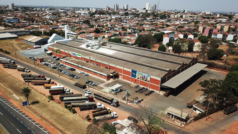 Vanguarda no pasto: Bellman celebra 35 anos como pilar da modernização da pecuária brasileira