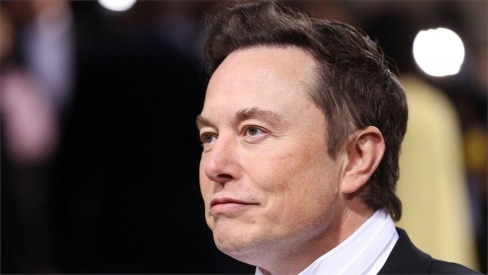 Elon Musk suspende acordo com o Twitter por detalhes de contas falsas