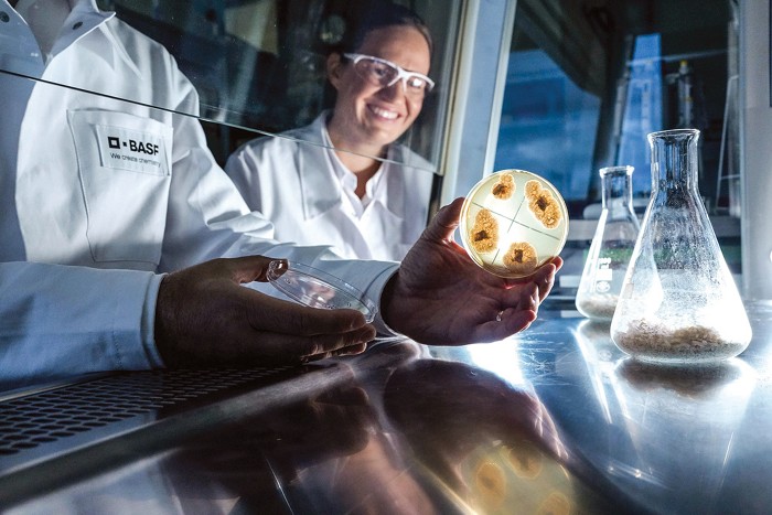 A BASF está se aprofundando na biotecnologia industrial