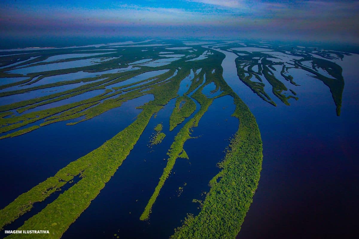 Fundação FHC discute a exploração na Foz do Rio Amazonas e o futuro do petróleo no Brasil