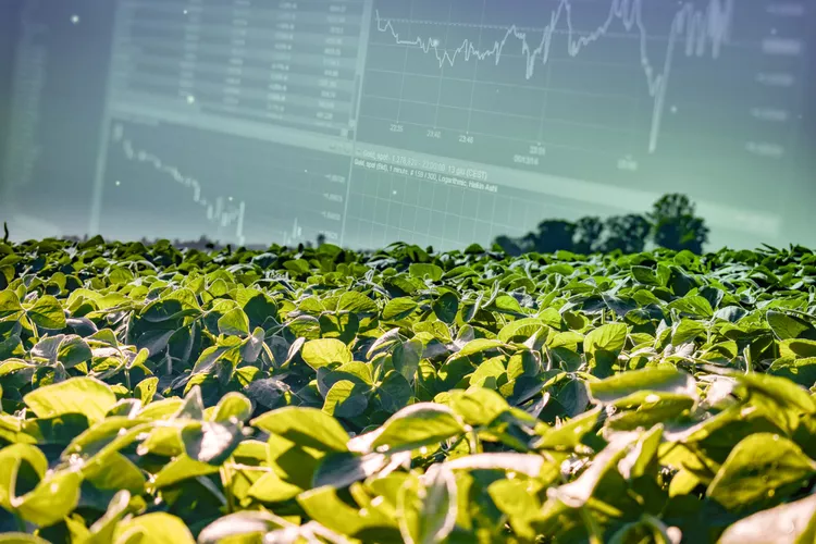 Queda nos Preços da Soja: Fatores Baixistas e Impactos no Mercado Agrícola