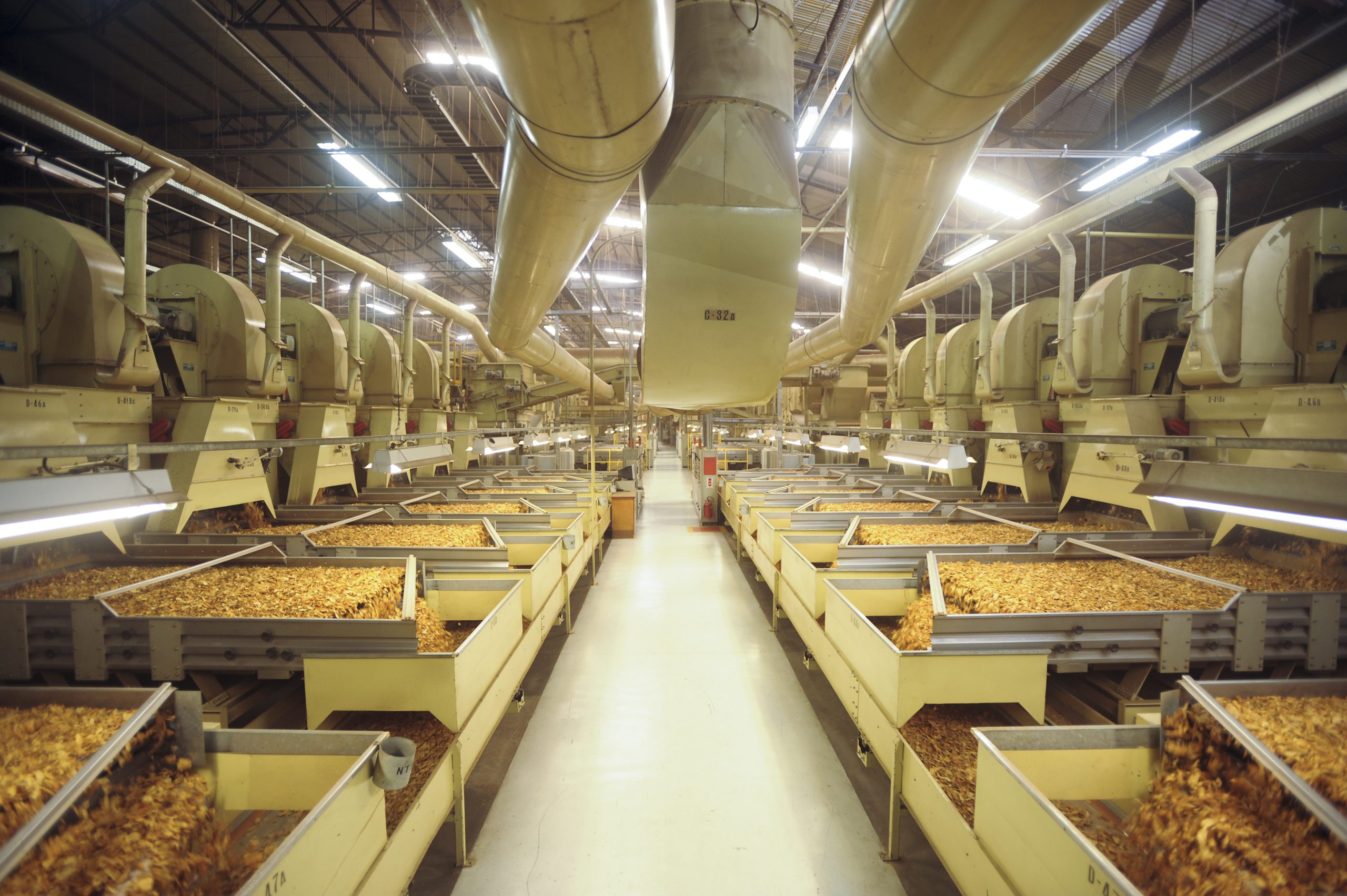 Cadeia produtiva do tabaco impulsiona indústria e agro no Brasil Cadeia produtiva do tabaco impulsiona indústria e agro no Brasil