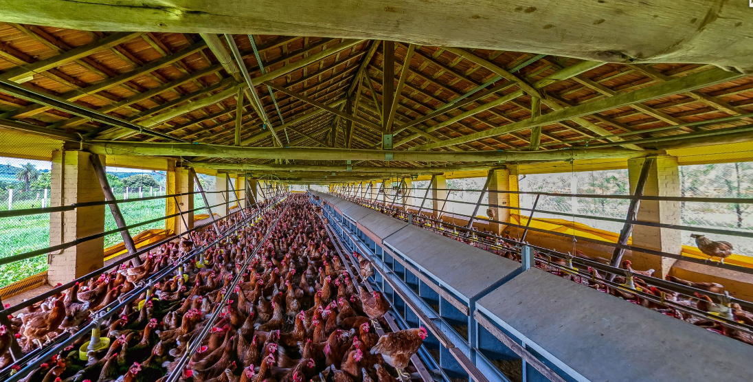 Curso Técnico em Agropecuária: Inscrições Abertas para Capacitação de Impacto