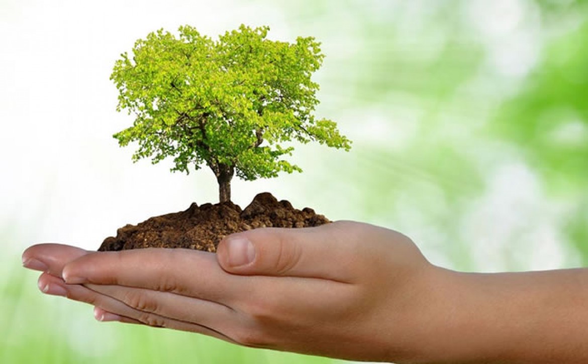 O papel da energia na construção de um futuro sustentável