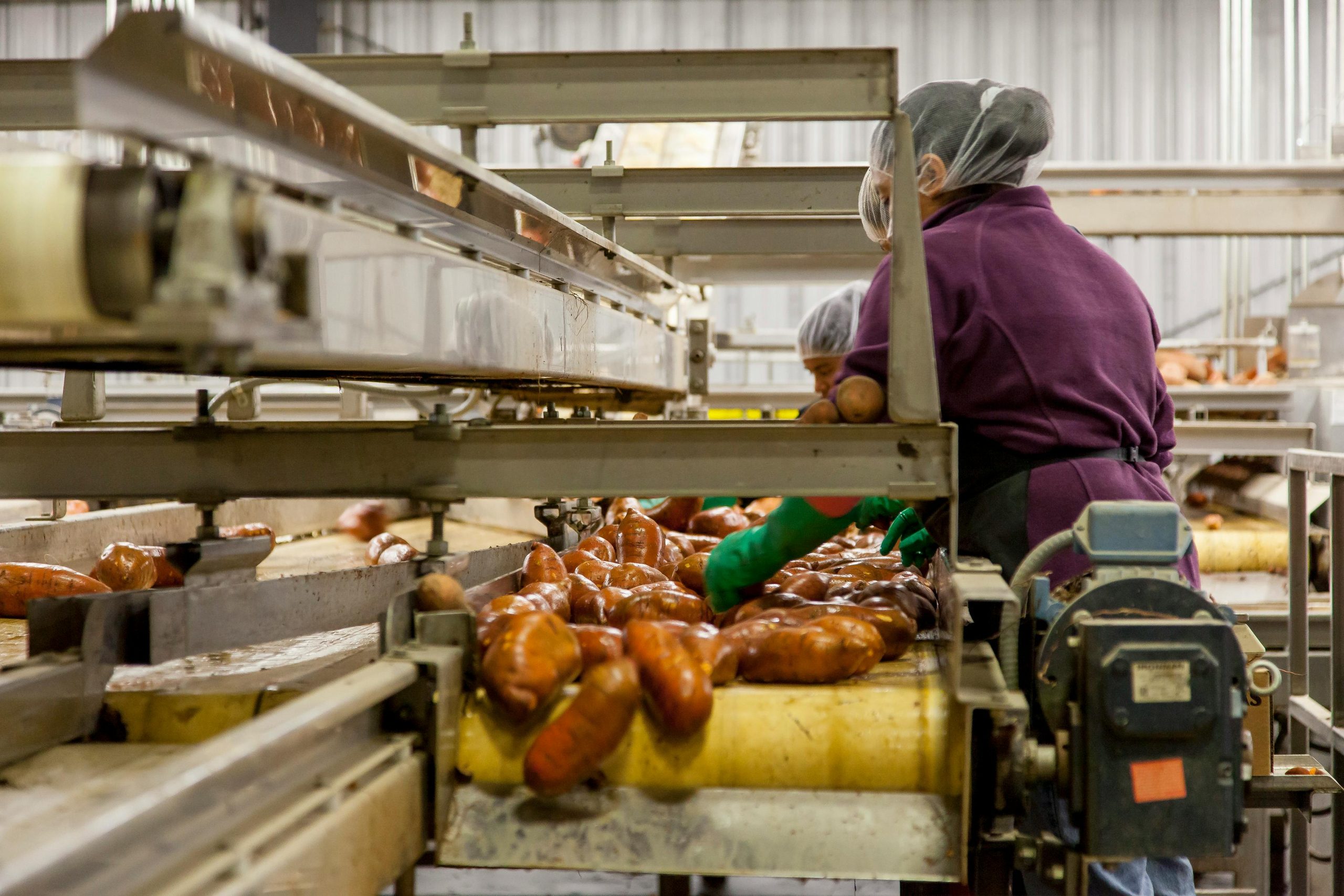 Indústria Alimentícia lidera criação de empregos no Brasil: entenda os motivos Indústria Alimentícia lidera criação de empregos no Brasil: entenda os motivos